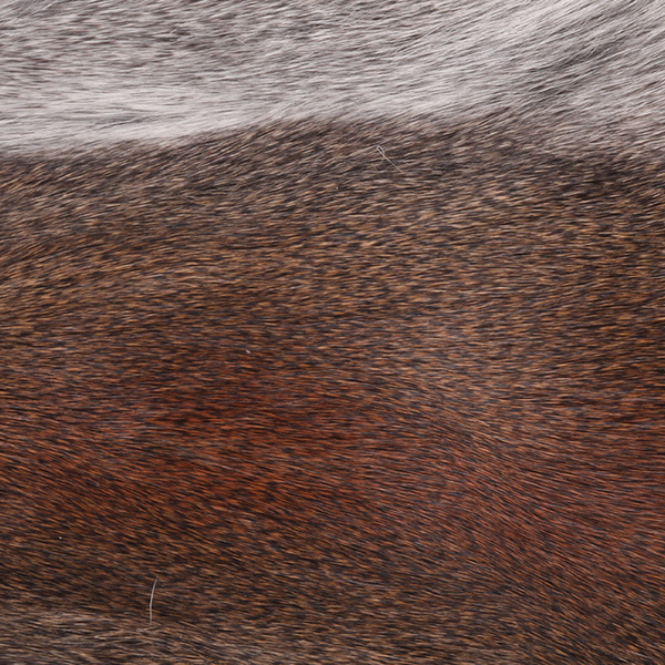 Wapsi Whole Pine Squirrel Skin