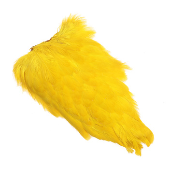 Sella di gallina tinta FFGene India