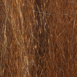 FFGene PredaSpark Fibers