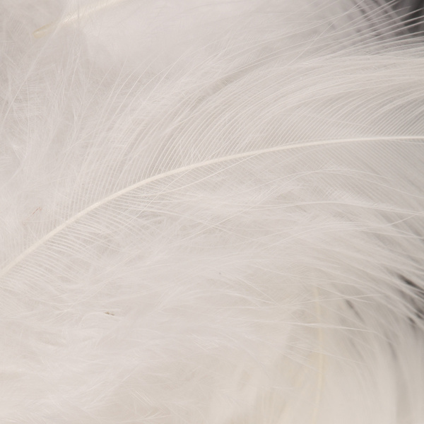 Wapsi Piume White per hackle morbida Matuka