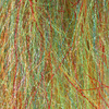Rainbow UVR / 51