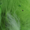Chartreuse