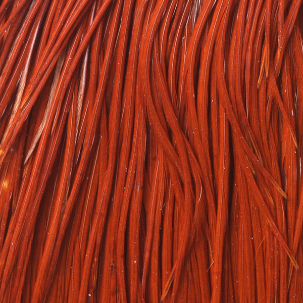Collo di gallo Whiting Bronze