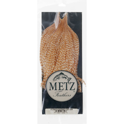 Collo di gallo Metz #3