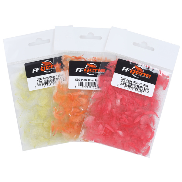 FFGene Piumini CDC Oiler