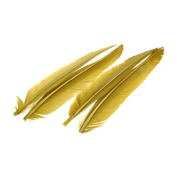 Wapsi Penne remiganti d’anatra, 2 paia