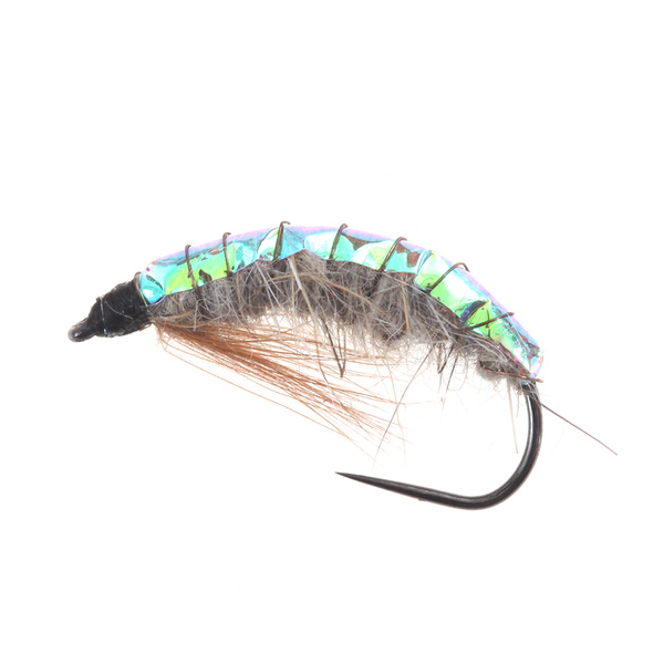 Scud naturale Flashback