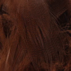 Hareline Mallard Flank