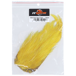 Collo di gallo colorato FFGene India
