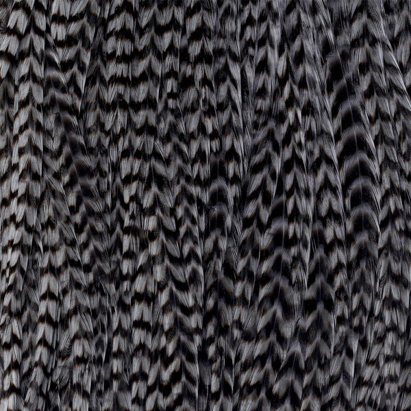 Ewing Grizzly Whole Saddles