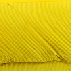 Hareline Biot di tacchino
