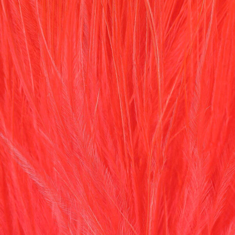 Radiant Fire Orange
