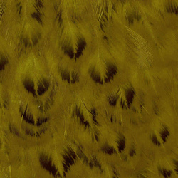 Ritaglio di sella di gallina Wapsi per mosche soft hackle