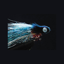 FFGene Occhi Audibili