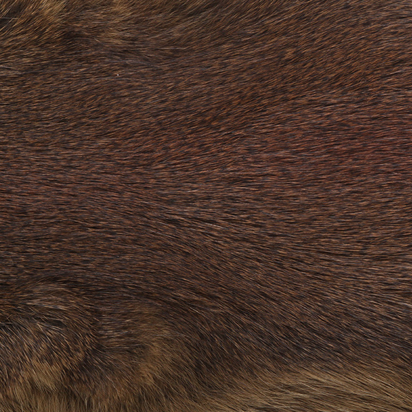 Wapsi Pelle intera di Pine Squirrel