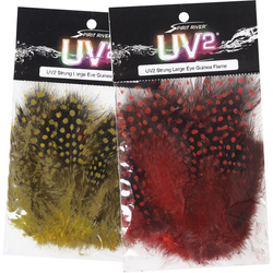 Spirit River UV2 piume di faraona con grandi ocelli