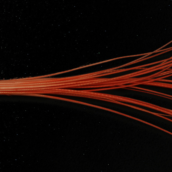 Hareline Quill per corpi