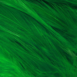 Hareline Piume hackle del collo per acqua salata