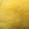 Canary