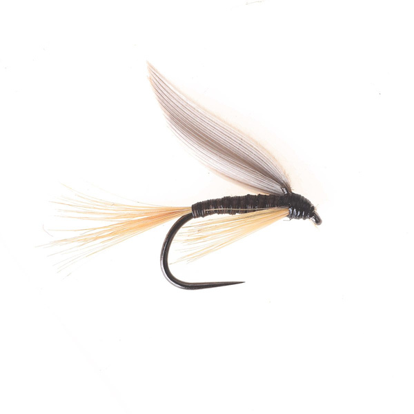 Zenzero Quill