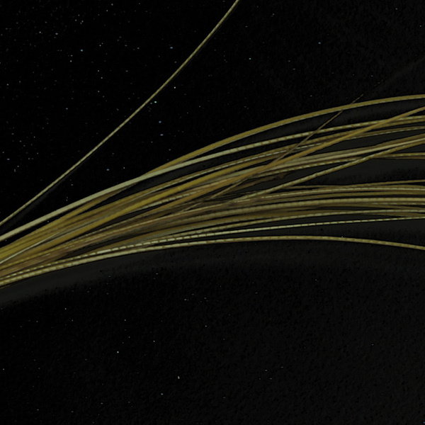 Hareline Quill per corpi