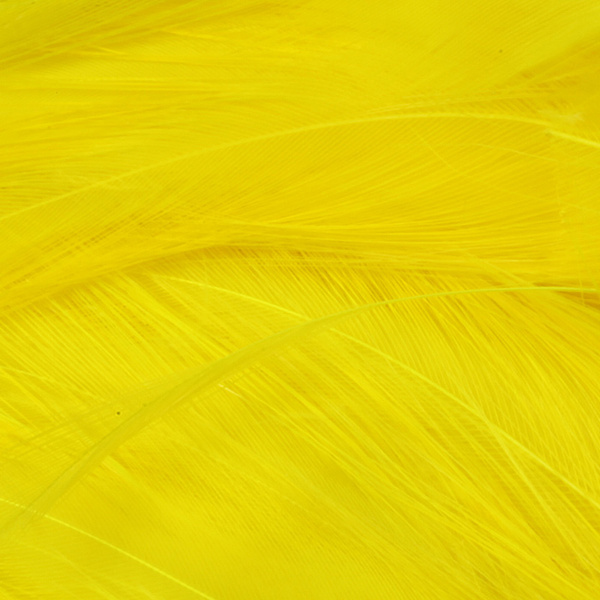 Hareline Piume hackle del collo per acqua salata
