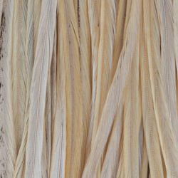 Sella di gallo Whiting per mosche secche