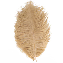 FFGene Piume hackle di struzzo