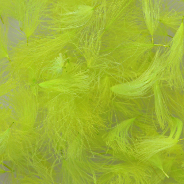 Hareline Piumini CDC Oiler Puffs