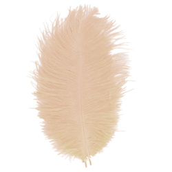 FFGene Piume hackle di struzzo