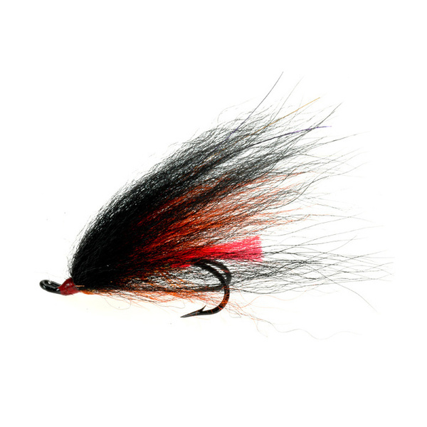 Temple Dog Nero/Arancione Doppio Salmone