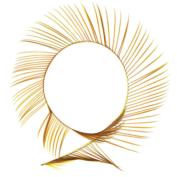 FFGene Biot d’oca