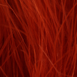 FFGene Wooly Bugger piume di marabù Blood Quill (7-10 cm)
