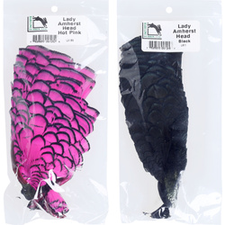 Hareline Piume della testa del fagiano di Lady Amherst