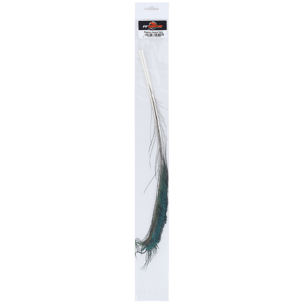 FFGene Peacock sword tails