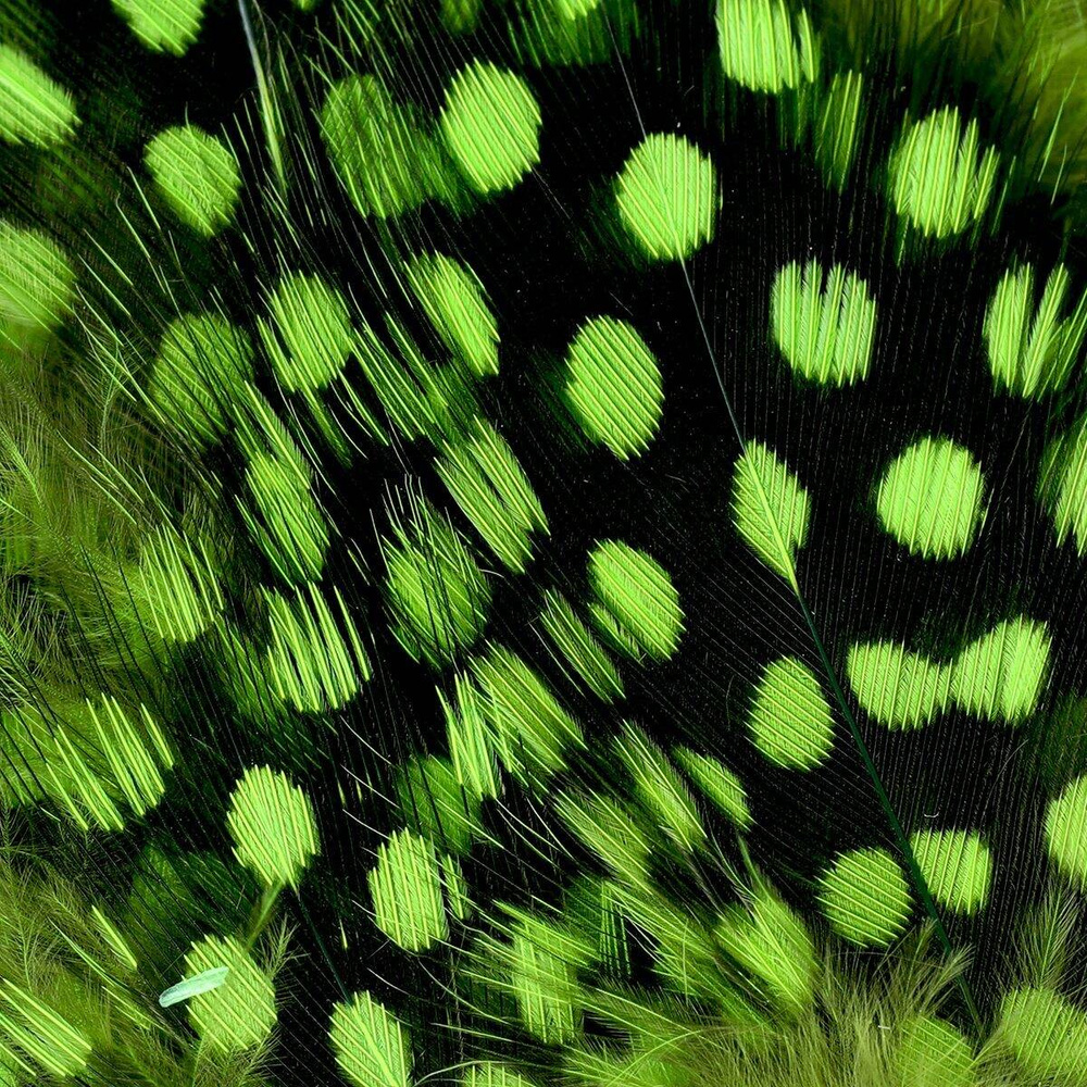 Chartreuse