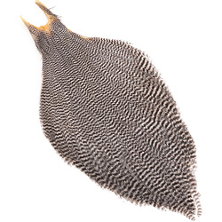Collo di piume Wapsi Metz Magnum