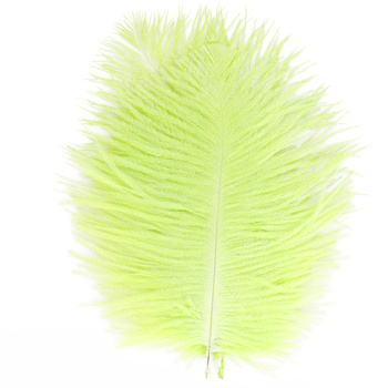 FFGene Piume hackle di struzzo