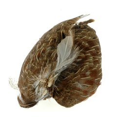 FFGene Ali di pernice