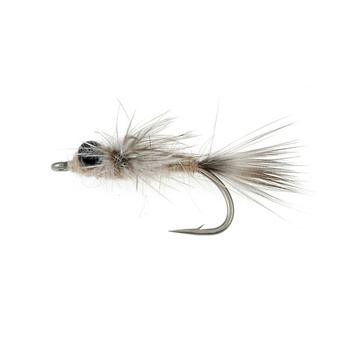 Gobi CS Sabbia (402)