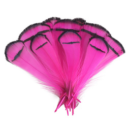 FFGene Piume tippet di fagiano di Lady Amherst
