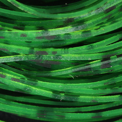 Hareline Buggy Nymph Legs