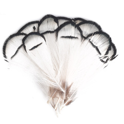 FFGene Piume tippet di fagiano di Lady Amherst