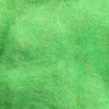 Insect Green