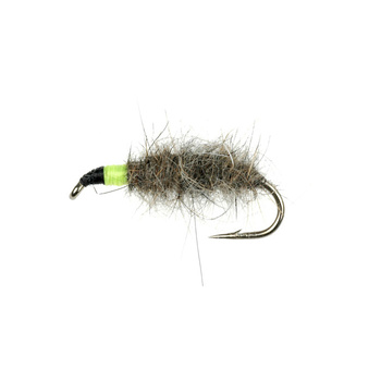 PL Caddis Case verde Ninfa Naturale (311)
