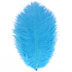 FFGene Piume hackle di struzzo