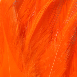 FFGene Hackle di sella di gallo in mazzo
