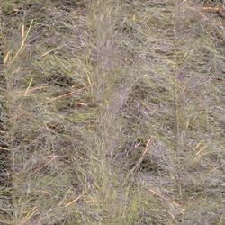 Brush da streamer H2O Streamer Brush 1/2 inch (flash)