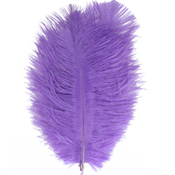 FFGene Piume hackle di struzzo