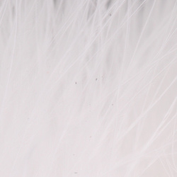 FFGene Wooly Bugger piume di marabù Blood Quill (7-10 cm)